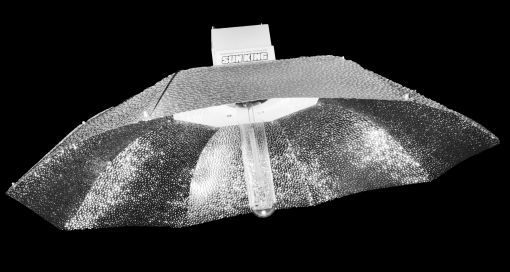 Parabolic Silver Pic